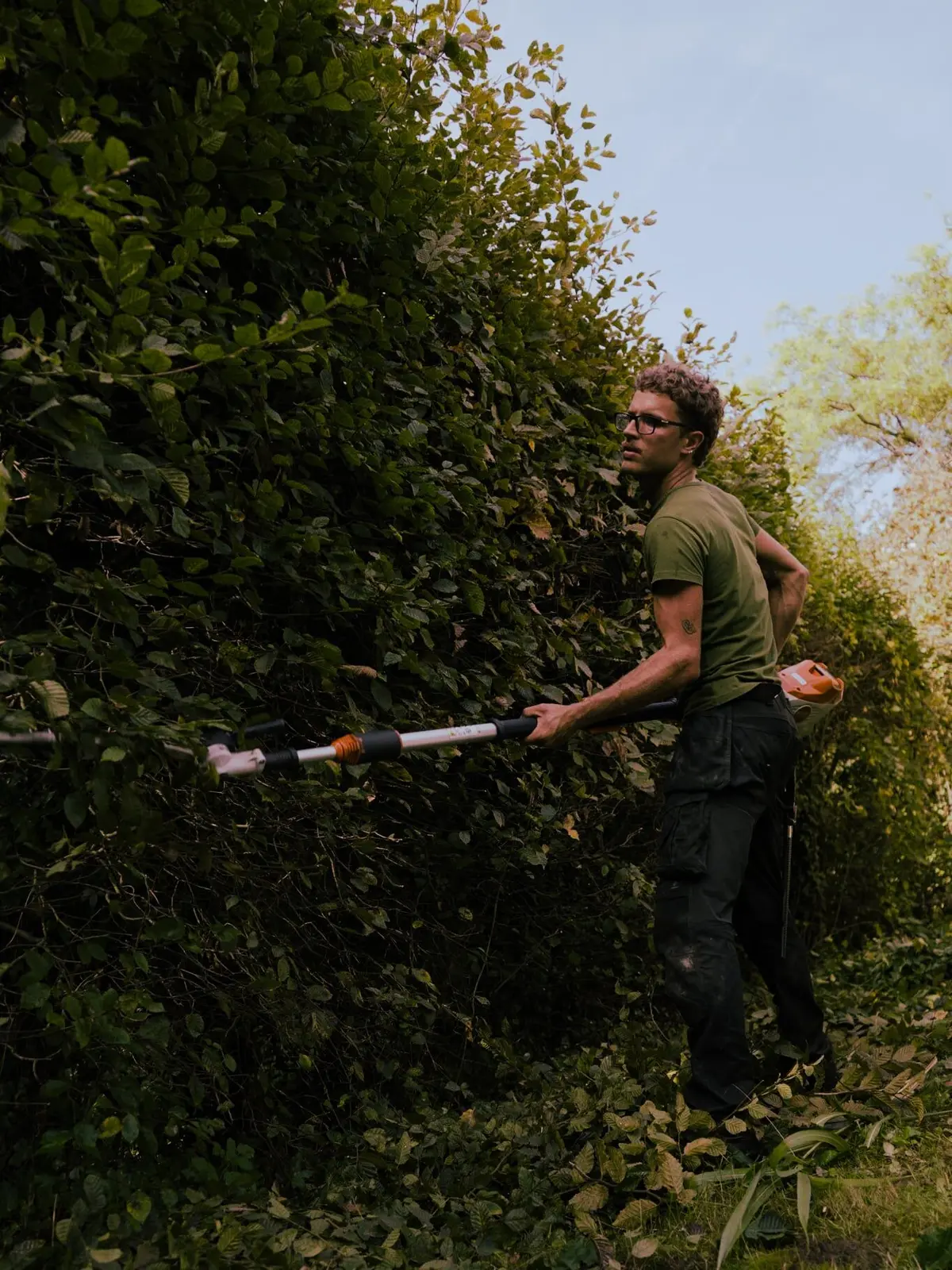 Hagen snoeien door Goris Tuinwerken