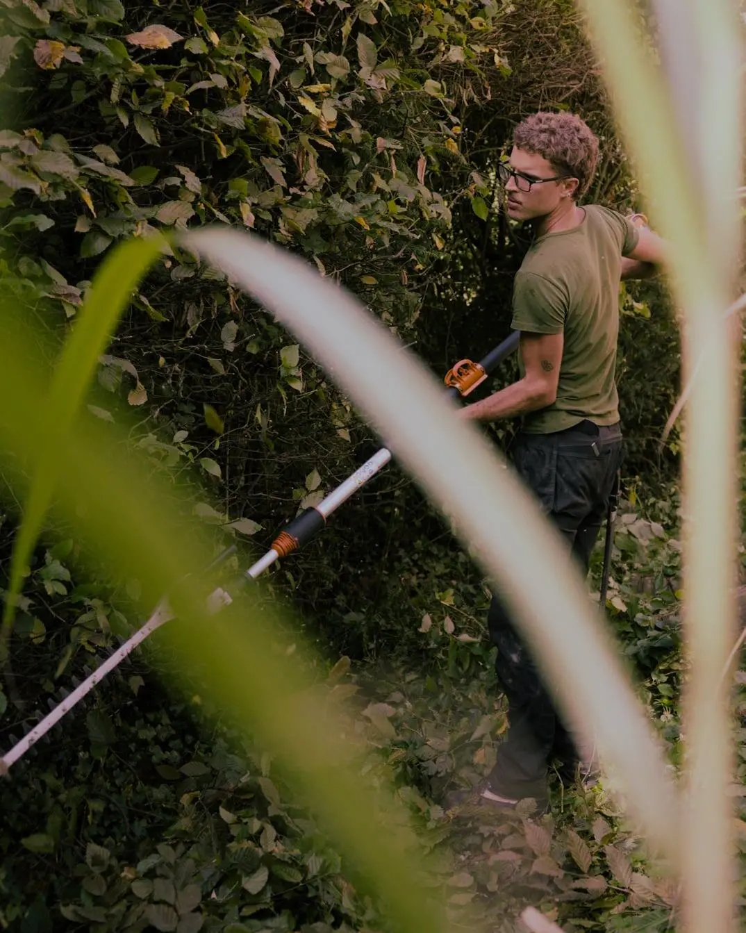 Tuinonderhoud tussen de siergrassen